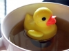 Duckie - flytade tesil med anka/ tekula