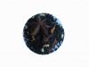 Tefrossas S�tlakrits och Choklad (Chocolicious) - svart te