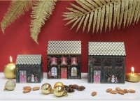 christmas_house_alla_1.jpeg