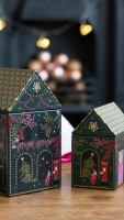 christmas_house_b_da.jpeg