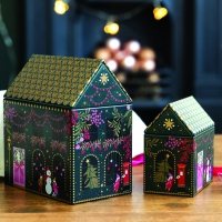 christmas_house_b_da2_1.jpeg