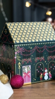 christmas_house_stor3.jpeg